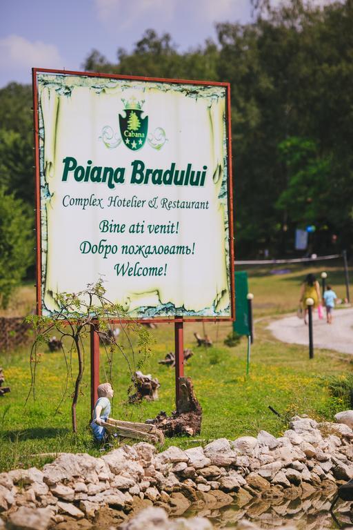 Poiana Bradului Villa Tohatin Esterno foto