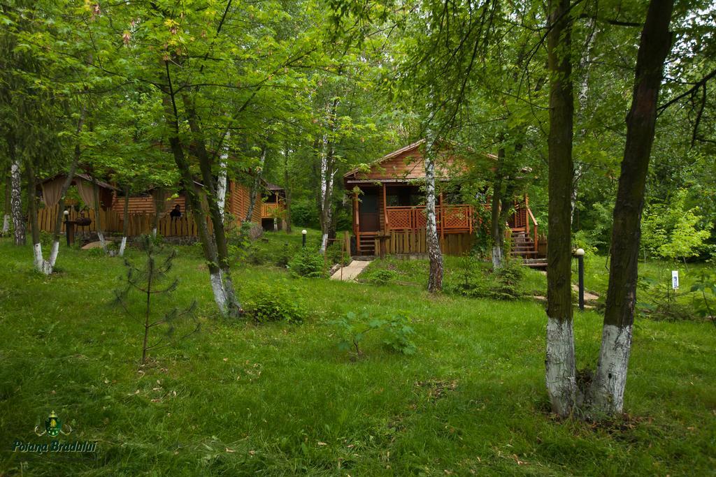 Poiana Bradului Villa Tohatin Esterno foto